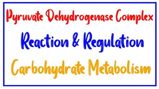 Pyruvate dehydrogenase complex mechanism and Regulation  PDH complex mechanism amp Regulation [upl. by Tutto]