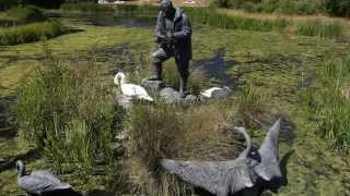 WWT  London Wetlands Centre [upl. by Ahsaret]