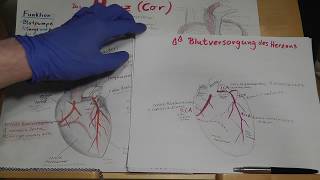 PRÜFUNGSWISSEN Blutversorgung des Herzens Herzkranzgefäße amp Herzinfarkt erklärt [upl. by Rodmann798]
