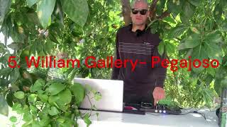 William Gallery  Live Dj Set  El Aguacate Tree Latin House Music [upl. by Belsky]