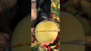 How To Cutting And Evryone Enjoy Beautiful Seasonable Fruits 🍏 [upl. by Maeve]