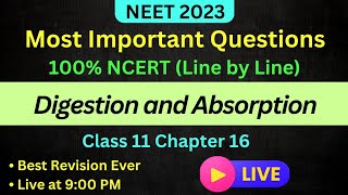 One Liner Digestion And Absorption NEET 2023 Most Important Questions [upl. by Bianca]