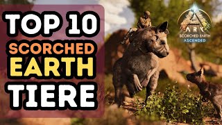 Die 10 BESTEN TAMES für SCORCHED EARTH [upl. by Adlaremse]