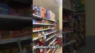 Dollar Tree 🎄 dollartree shopwithme shopping shoppinghaul haul haulvideo shoppingvlog shop [upl. by Aritak892]