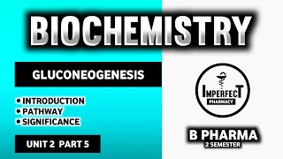 Gluconeogenesis  Carbohydrate Metabolism  Biochemistry  B Pharma 2nd Semester [upl. by Niarda]