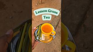 Lemongrass Tea  Sahaja Village Farms Kurnool farming ashgourdjuice agriculture kurnoolvlogs [upl. by Ibocaj119]