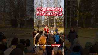 Julegrantenning på Furuset Oslo Norway  Lighting the Christmas tree christmas christmas2024 [upl. by Anam]