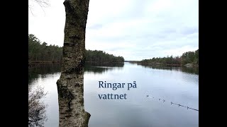 Avsnitt 30 Ringar på vattnet [upl. by Lesak132]