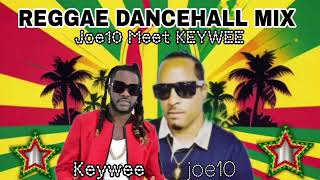 Reggae Dancehall mix April 2024 Joe10 amp Burning Remnant Keywee [upl. by Dnomyad]