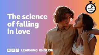 The science of falling in love ⏲️ 6 Minute English [upl. by Felicidad]