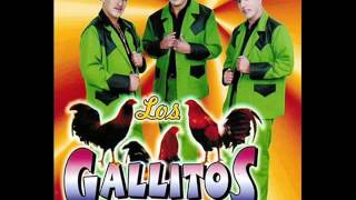 Los Gallitos de Chihuahua  Siempre En Mi Mente [upl. by Noyerb]