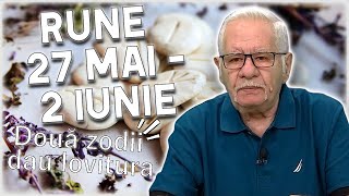 Horoscop rune 27 mai  2 iunie 2024 Mihai Voropchievici Racii îl au pe WUNJO [upl. by Millie]