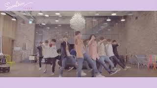 Dance Practice SEVENTEEN세븐틴  예쁘다 Pretty U Dancecal ‘LOVE ver’ [upl. by Koerner]