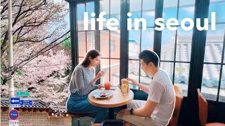 korea vlog 🌸 spring in traditional seoul is SO beautiful 🌱 old neighborhoods cherry blossoms [upl. by Reeba]