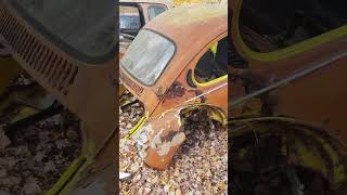 Buggin vwbug dunebuggies volkswagen buggin oldschool hiphop [upl. by Nohsad401]