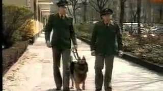 Der Hund mit den 2 Arschlöchern [upl. by Sirak]