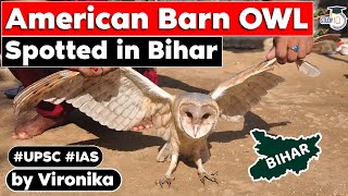 American Barn Owl Rarely Found in India Spotted in Bihar’s Supaul  Environment  BPSC UPSC [upl. by Suravart993]