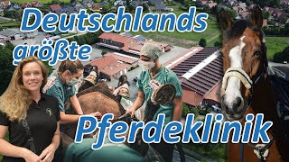 Deutschlands größte Pferdeklinik stellt sich Ariane Telgen  Mit 3 Pferden in die Pferdeorthopädie [upl. by Georgie238]