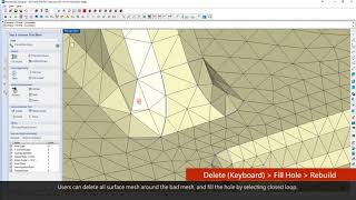 Moldex3D Designer BLM Surface Mesh Fixing [upl. by Snashall112]