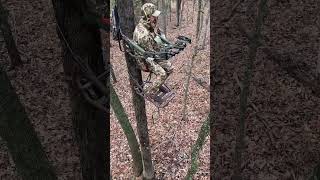 Big Buck Hunt nature hunting deerhunting deer archery bowhunting teamspypoint [upl. by Margalo]