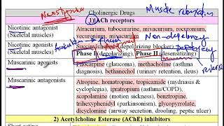 USMLE Video 223 Cholinergic System Neurotransmission Receptor Pathways and Pharmacological Agents [upl. by Cirdek]