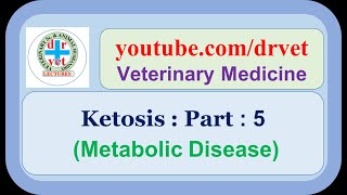 Bovine Ketosis 5 [upl. by Annatnas]