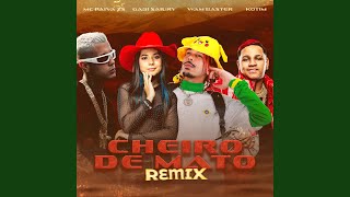 Cheiro de Mato Remix [upl. by Nnylarak]