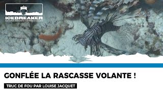 Truc de fou 30  lestomac de la rascasse par Louise Jacquet [upl. by Ginevra]