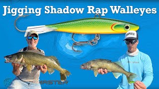 Jigging Shadow Rap Walleyes [upl. by Domella]