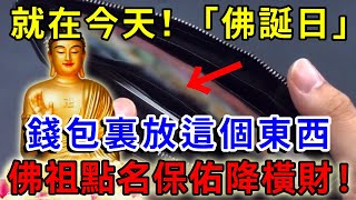 就在今天！5月15「佛誕日」，錢包裏放這個東西，佛祖點名保佑你！第二天就有橫財福運，連李嘉誠都這麼幹一禪語 運勢 風水 佛教 生肖 佛語禪心 [upl. by Whitson]