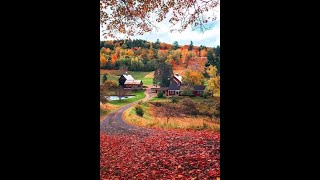 September Secrets in the garden fairyhouse pumpkinseason pumpkin pumpkinhouse inthegarden fall [upl. by Anaujik]