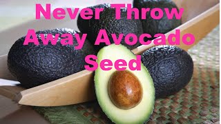 Never Throw Away Avocado Seed  Life Hacks [upl. by Aleacin435]