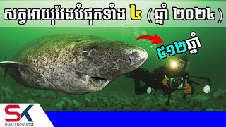 សត្វអាយុវែងបំផុតទាំង ៤ កំពុងមានជីវិតលើផែនដីឆ្នាំ ២០២៤ នេះ [upl. by Aicirtam]