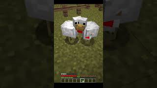 I became a Minecraft chicken farmer minecraft [upl. by Acinet]