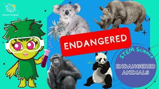 Endangered Animals  KS1 Science  STEM and Beyond [upl. by Pinchas]