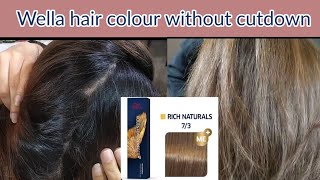 Wella hair colour  Hair colour at Home  Wella koleston how to use  Real Beauty Secrets [upl. by Adihaj958]