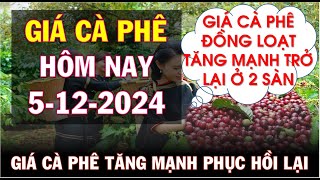 Giá cà phê hôm nay ngày 5122024Giá cà phê tăng mạnh trở lại ở 2 sàn và trong nước [upl. by Leveridge]