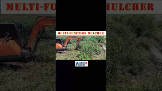 Ultimate MultiFunction Mulcher for a Perfect Lawn forestry mulchingsolutions forestryequipment [upl. by Adnahsed153]