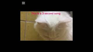 This is a 3 second song trend [upl. by Evie]