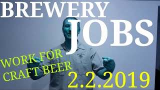 BREWERY JOBS For CRAFT BEER 2219 [upl. by Zil]