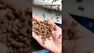 Automatic Cat Food Dog Food Machines Pet Food Making Machine Dog Food Manufacturing Line [upl. by Marcia552]