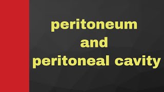 Peritoneal cavity  basic anatomy of peritoneum with notes [upl. by Caty]