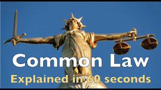 Common Law Explained in 60 seconds [upl. by Orgell140]