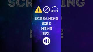 Screaming Bird Meme Sound Effect [upl. by Gilford]