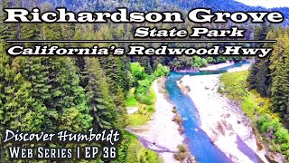 Discover Humboldt Richardson Grove State Park  Californias Redwood Highway 101  Ep 36 [upl. by Egiarc37]