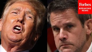 Hes Crying All The Time Trump Laces Into Warmongers Adam Kinzinger Liz Cheney At SC Rally [upl. by Haim]