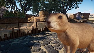 Black tailed prairie dog zoo Habitat  Speedbuild  Planet zoo [upl. by Jos453]