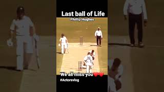 Last ball😔 we all miss you Phillip Hughes ❤️💔 actorsvlog ytshorts short [upl. by Akenat]