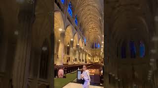 Check out this cathedral St Patrick christcathedral in New York City checkthe channelshortvideos [upl. by Acila466]