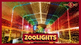 CHICAGO ZOO LIGHTS at Lincoln Park Zoo Drone Video [upl. by Baal223]